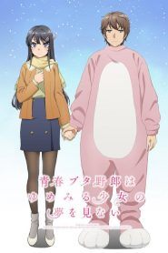 Seishun Buta Yarou Wa Bunny Girl Senpai No Yume Wo Minai