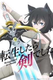 Tensei shitara Ken Deshita