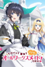 Heroine? Saint? No, I’m an All-Works Maid (And Proud of It)!